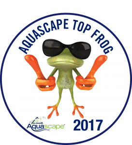 top-frog Top Frog