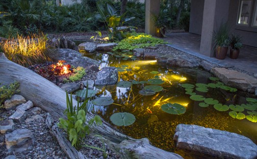 LED Pond Lighting  Premiere Aquascapes