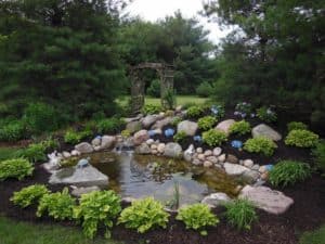 eco-system pond and waterfall with landscaping