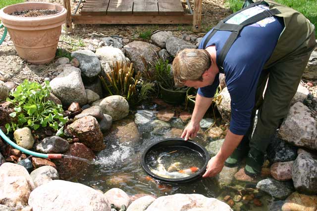 spring-pond-cleanout