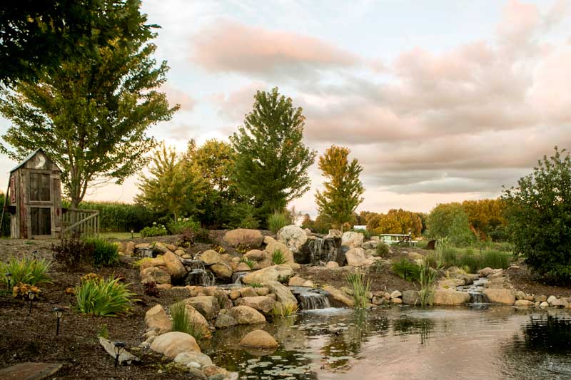 pond-wetland-biofalls_6951