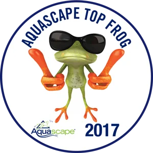 Top Frog