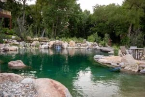 Natural pool with waterfall and trees