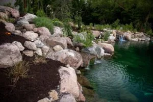 Rocky garden near clear pond and waterfall.