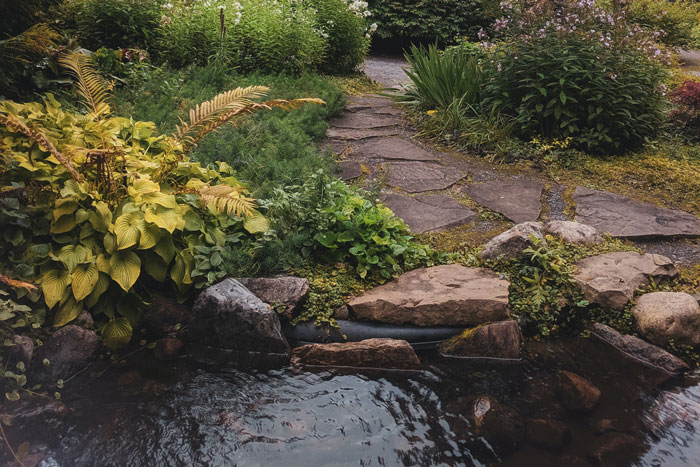 landscape with pond