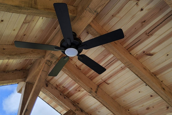 Pavilion ceiling