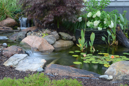 backyard waterfall