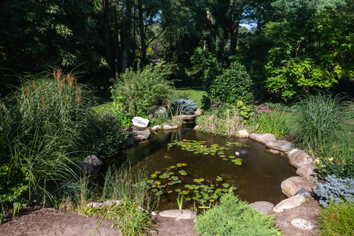 krider garden ecosystem pond