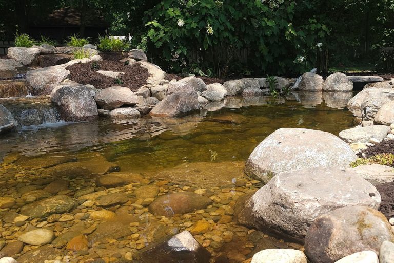 Pond Professional Care