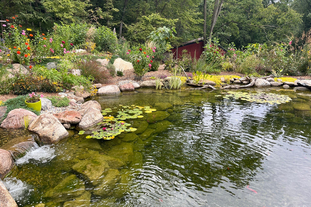 Healthy pond